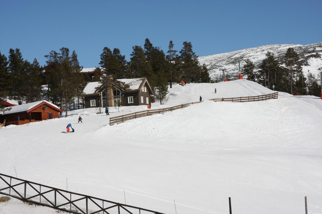 Lemonsjo Fjellstue Og Hyttegrend Randsverk Экстерьер фото